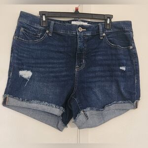 Torrid Women's Blue Denim Shorts